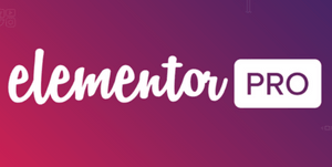Elementor PRO